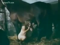 [ Beast Sex ] Colt bonks his naughty golden-haired dominant